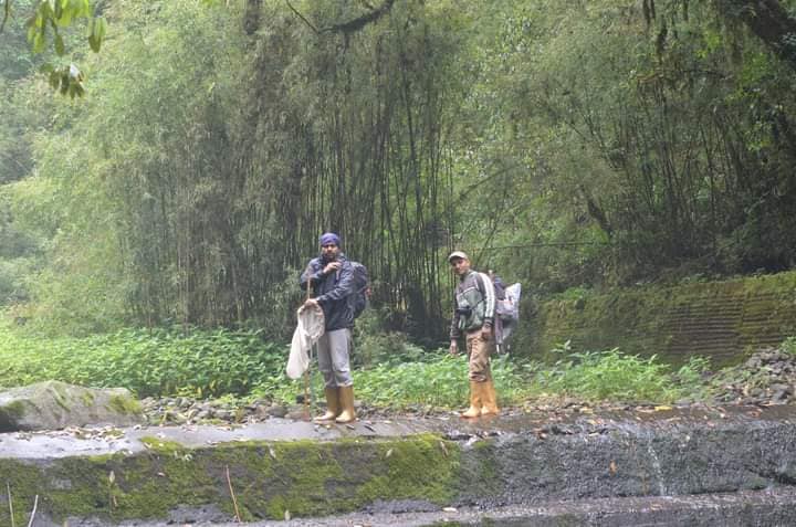 Forest field survey