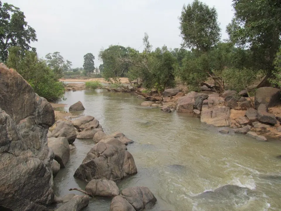 Rocky river habitat used for ecological assessment